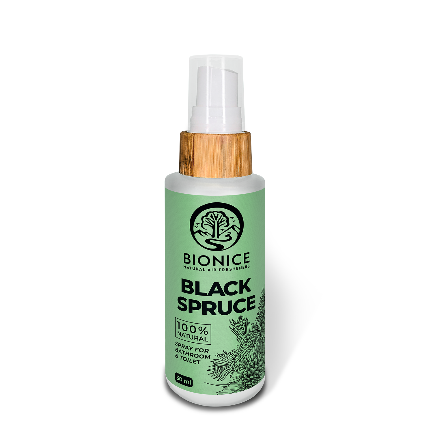 Black Spruce